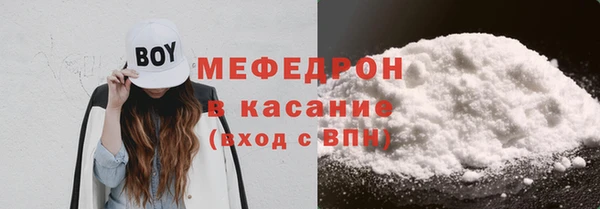 индика Гусев