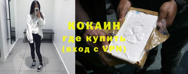 индика Гусев