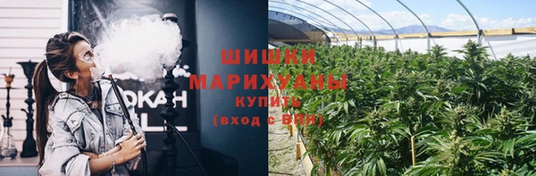 метадон Вяземский